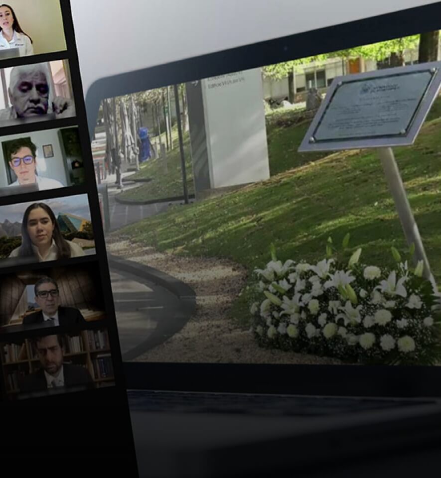 Audiencia Virtual